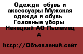 Одежда, обувь и аксессуары Мужская одежда и обувь - Головные уборы. Ненецкий АО,Пылемец д.